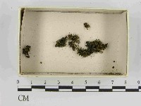 登錄號:F0021470藏品圖，第1張
