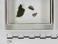 登錄號:F0021471藏品圖，第1張