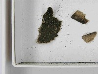 登錄號:F0021471藏品圖，第3張