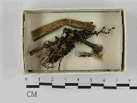 登錄號:F0021474藏品圖，第1張