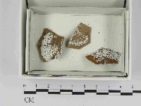 登錄號:F0021476藏品圖，第1張
