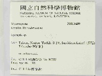 登錄號:F0021480藏品圖，第2張