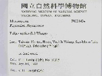 登錄號:F0021484藏品圖，第2張
