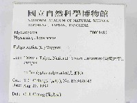 登錄號:F0021485藏品圖，第2張