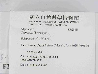 登錄號:F0021486藏品圖，第2張