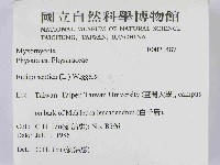 登錄號:F0021487藏品圖，第2張