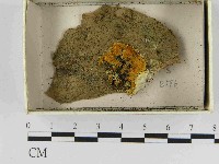 登錄號:F0021487藏品圖，第1張