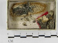 登錄號:F0021488藏品圖，第1張