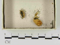 登錄號:F0021489藏品圖，第1張