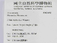 登錄號:F0021492藏品圖，第2張