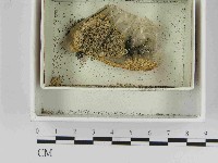 登錄號:F0021493藏品圖，第1張