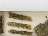 登錄號:F0021494藏品圖，第3張