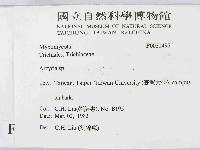 登錄號:F0021495藏品圖，第2張