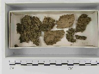 登錄號:F0021495藏品圖，第1張