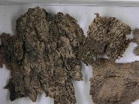 登錄號:F0021495藏品圖，第3張