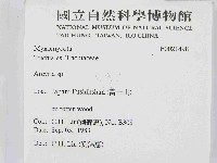 登錄號:F0021498藏品圖，第2張