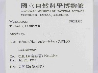 登錄號:F0021500藏品圖，第2張