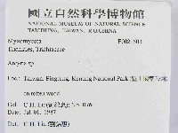 登錄號:F0021503藏品圖，第2張