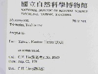 登錄號:F0021504藏品圖，第2張