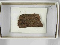 登錄號:F0021504藏品圖，第3張