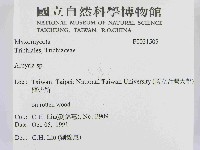 登錄號:F0021505藏品圖，第2張