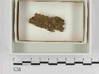 登錄號:F0021505藏品圖，第1張