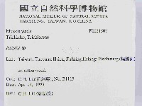登錄號:F0021507藏品圖，第2張