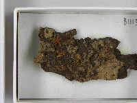 登錄號:F0021507藏品圖，第3張