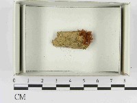 登錄號:F0021508藏品圖，第1張