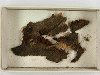登錄號:F0021509藏品圖，第1張