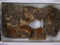 登錄號:F0021510藏品圖，第3張