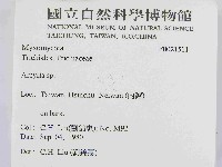登錄號:F0021511藏品圖，第2張