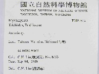 登錄號:F0021512藏品圖，第2張