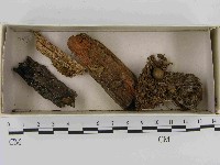 登錄號:F0021513藏品圖，第1張