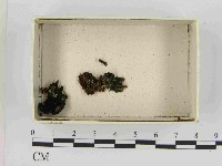 登錄號:F0021514藏品圖，第3張