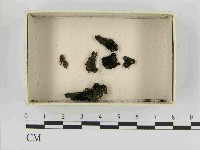 登錄號:F0021515藏品圖，第1張