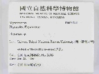 登錄號:F0021516藏品圖，第2張