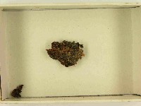 登錄號:F0021516藏品圖，第3張