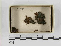 登錄號:F0021517藏品圖，第1張