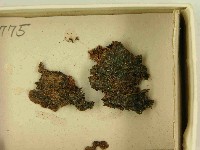 登錄號:F0021517藏品圖，第3張