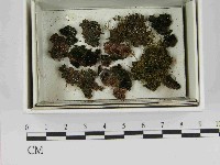 登錄號:F0021518藏品圖，第1張