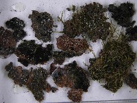 登錄號:F0021518藏品圖，第3張