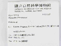 登錄號:F0021519藏品圖，第2張