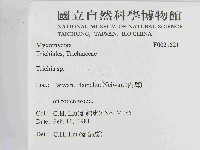 登錄號:F0021521藏品圖，第2張