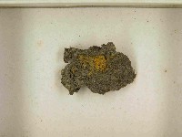 登錄號:F0021521藏品圖，第3張