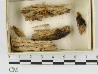 登錄號:F0021522藏品圖，第1張