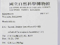 登錄號:F0021524藏品圖，第2張