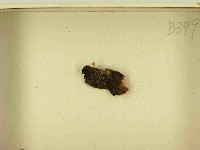 館號:F0021525藏品圖，第3張