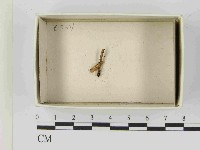 登錄號:F0021527藏品圖，第1張