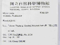 館號:F0021529藏品圖，第2張
